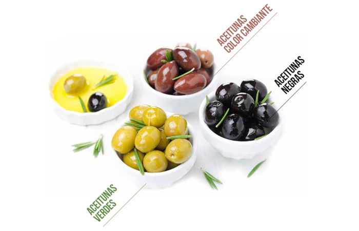 producción de aceituna de mesa
