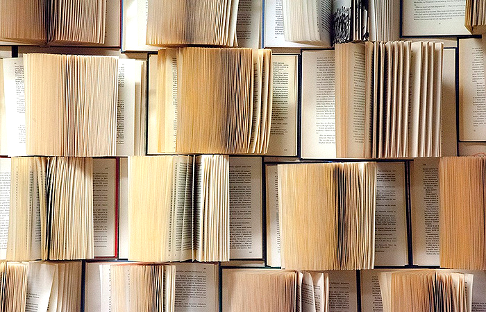 Literary Agency