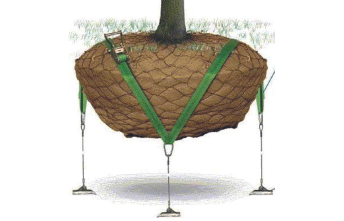 Horticoles