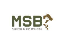 Multiservices Bovin