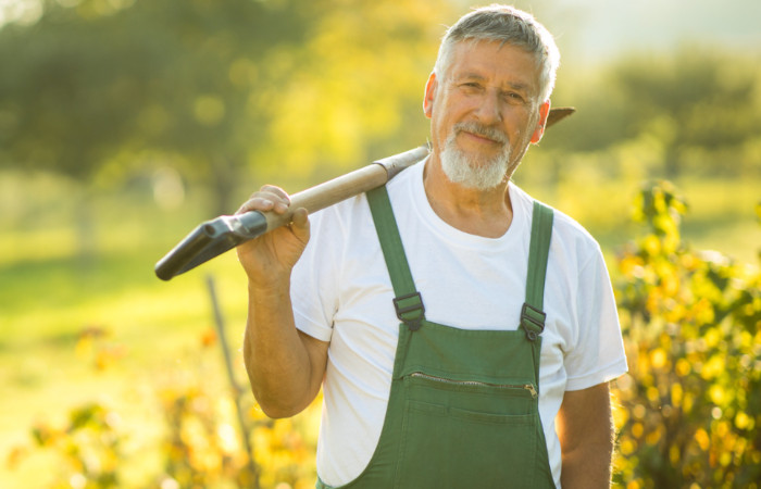 Éditeur de Logiciel
