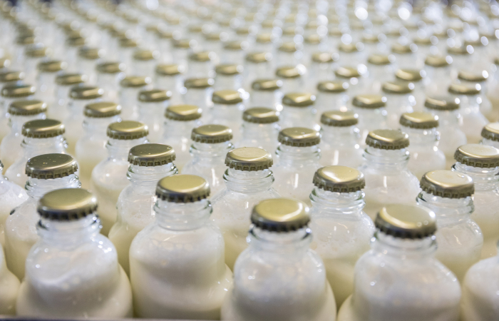 J. M. Gabler-Saliter