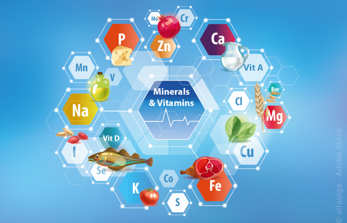 Kirsch BioPharm