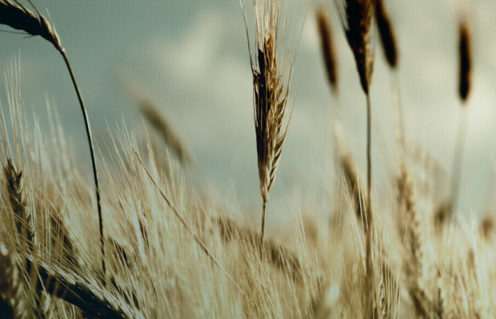 IMAP M&A Consultants