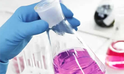 Lanya Chemical Europe