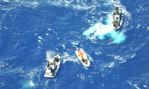 Navtrain International