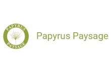 Papyrus Paysage