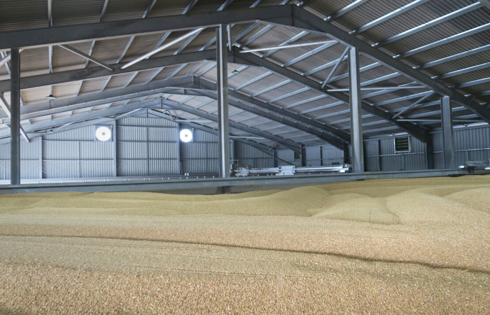 Grain