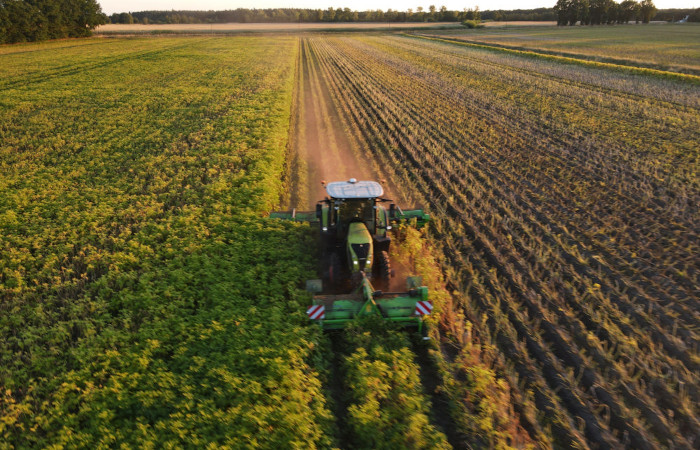 Potato Machinery