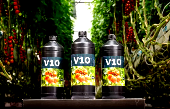 Valto