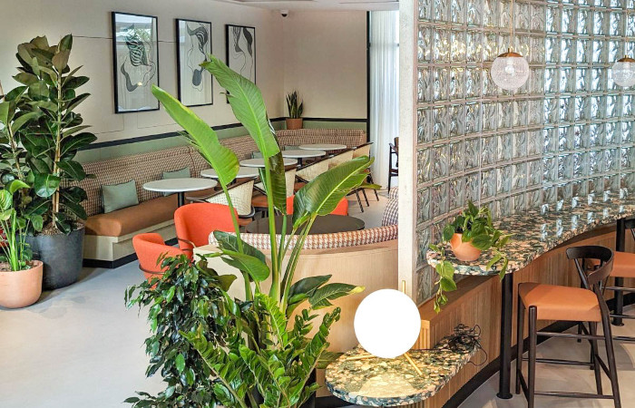 Plants d'Intérieur