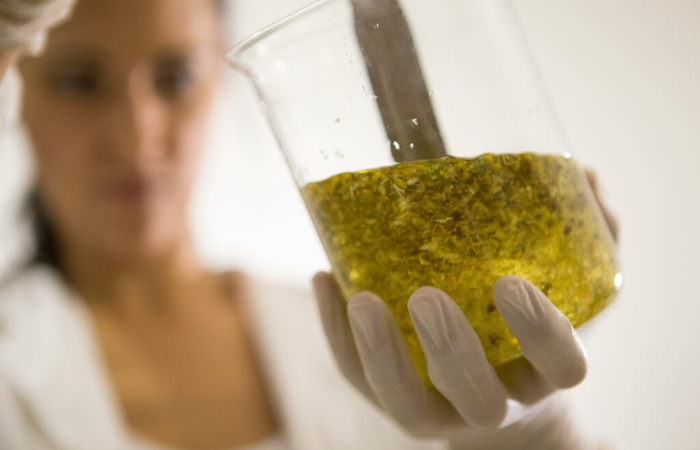 Nature Cosmétique