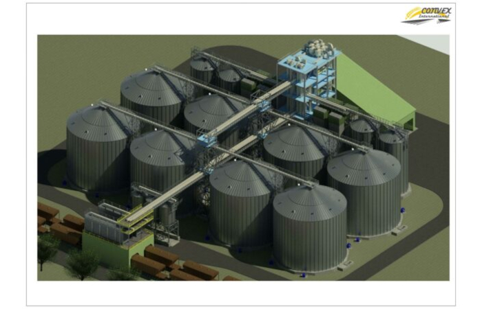 Convex International