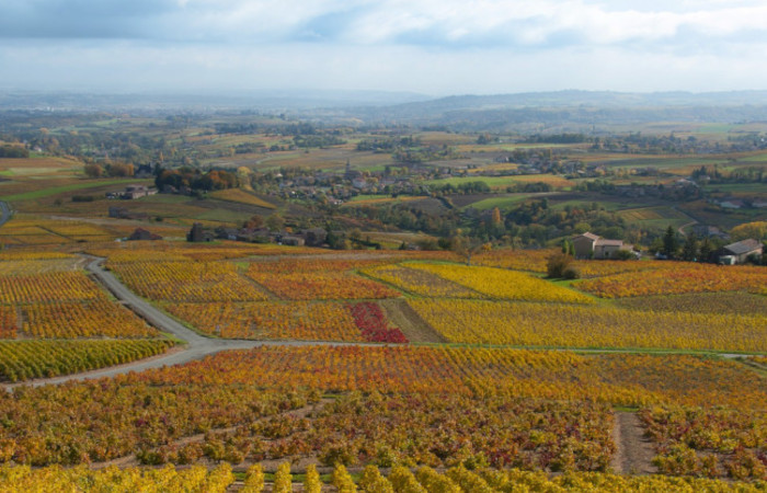 Terroirs