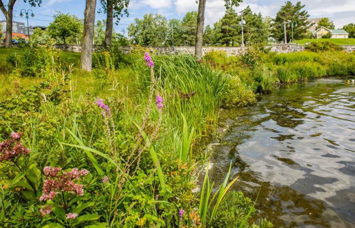 environnement de l'Estrie