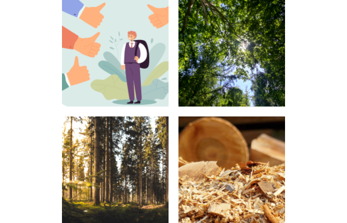 Des Hommes et Des Arbres