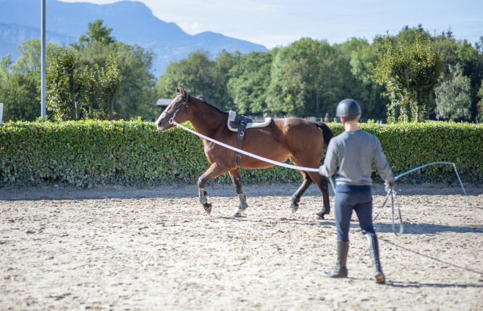 Formations Professionnelles