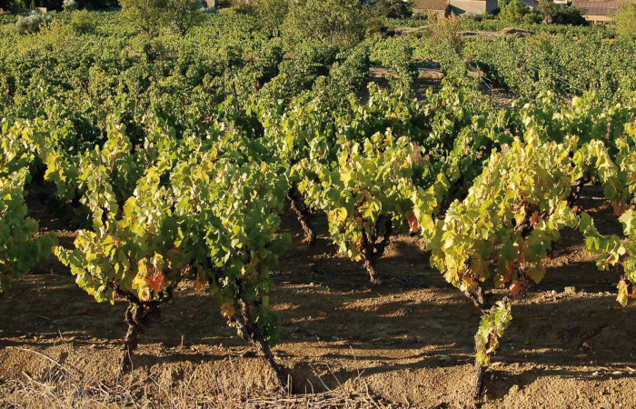 Groupe Jean D'Alibert