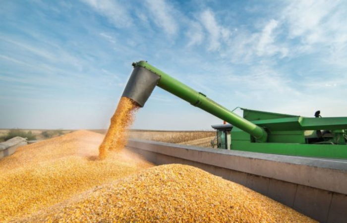 Agriprotein