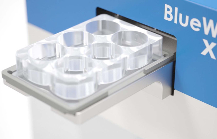 2D cell-based assays