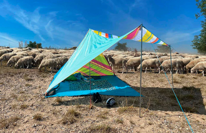 Camping