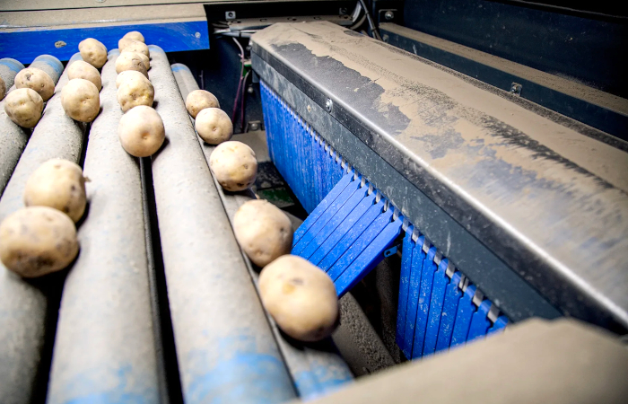 Flikweert Vision Technologies