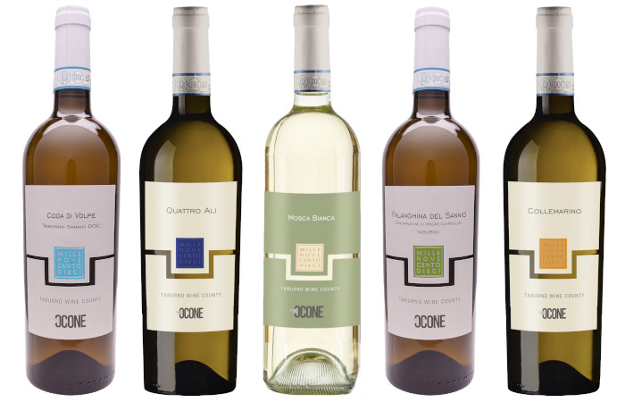 Euvitis 21