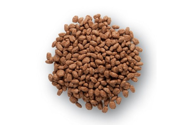 Cereali