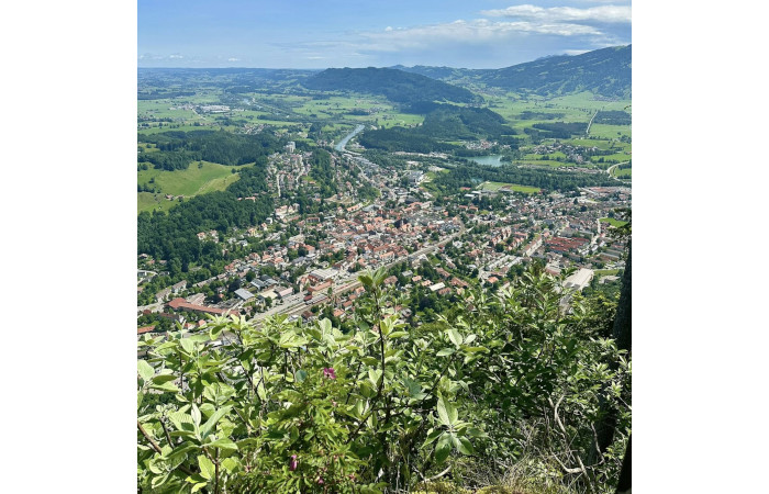 Alpsee-Grünten Tourismus