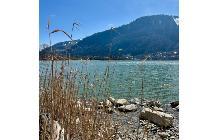 Alpsee-Grünten Tourismus