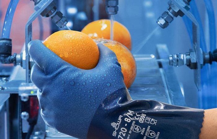 Protective Gloves