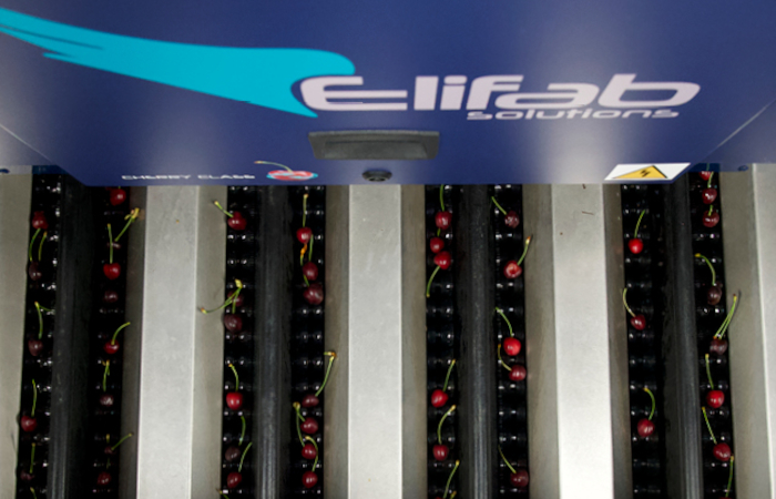 Elifab